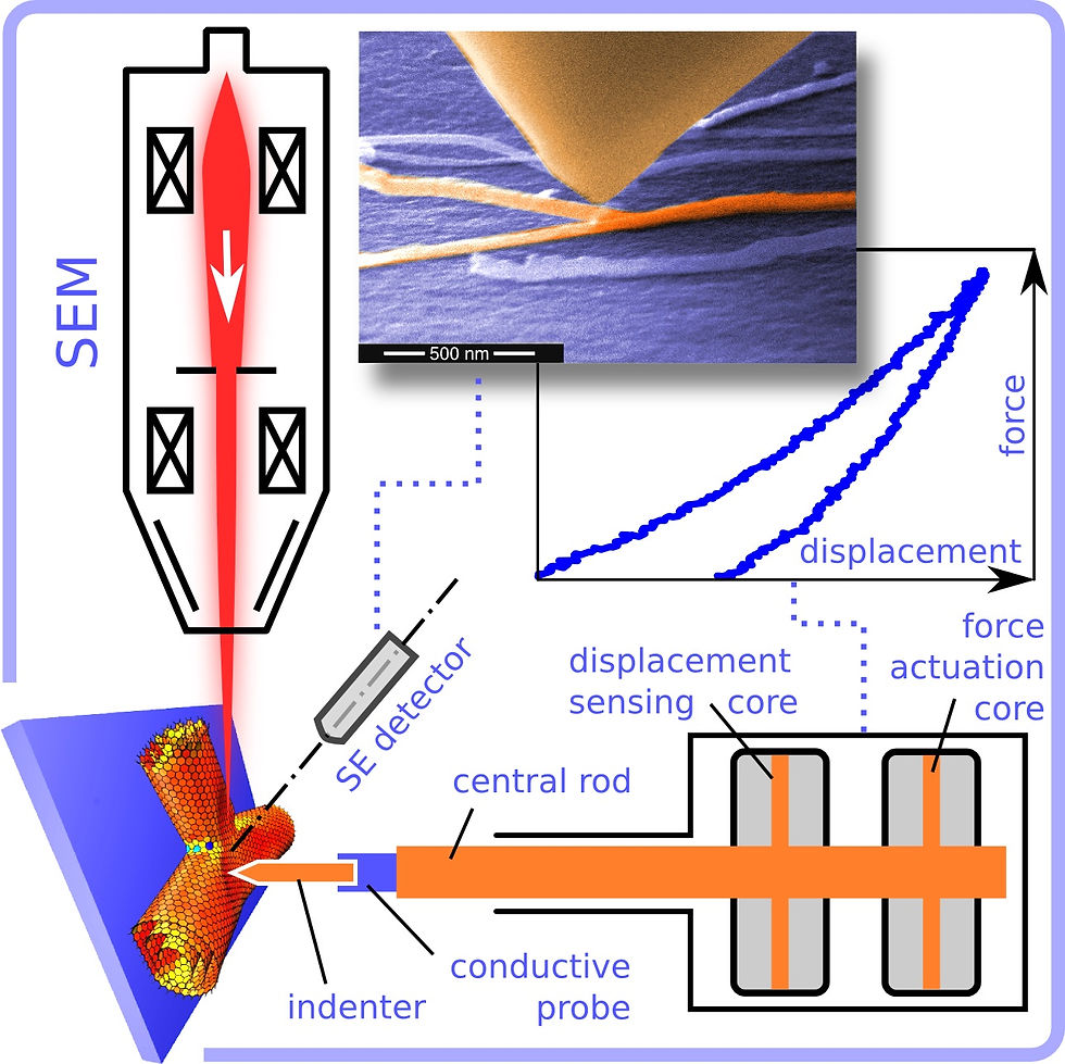 Rice University researchers tested the stiffness of individual nanotube junctions with a combined scanning electron microscope and picoindenter. It allowed them to analyze nanotubes in real time. (Credit: Evgeni Penev/Rice University)