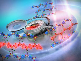 Unveiling the ultrafast formation of a photoinduced hidden state in metal–organic frameworks