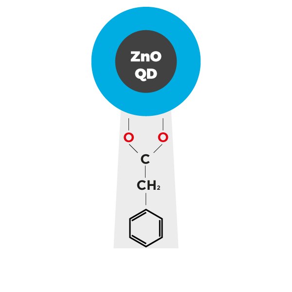 Zinc Oxide Quantum Dots (ZnO QDs) coated with phenylacetate ligands
