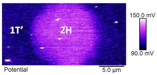 An image from a Kelvin probe force microscope shows the electronic potential distribution across the metallic and semiconductor phases of MoTe2. A team of researchers led by Rice University discovered piezoelectricity across phase boundaries in the material. @ Ajayan Research Group
