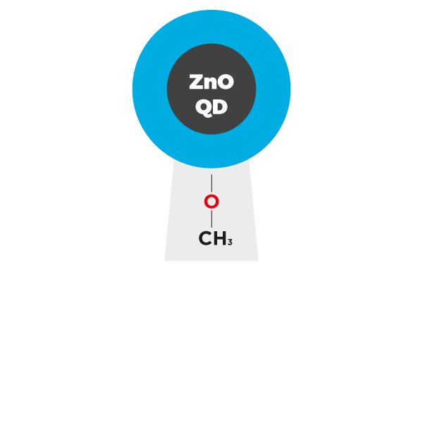 Zinc Oxide Quantum Dots (ZnO QDs) coated with metoxylate ligands