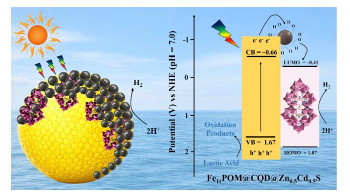 Carbon quantum dot-mediated Fe 11 polyoxometalate (Fe 11 POM) enrichment for accelerated photocatalytic H 2 evolution in a Zn 0.5 Cd 0.5 S system. The schematic illustrates the ternary Fe 11 POM@CQD@Zn 0.5 Cd 0.5 S photocatalyst. Zn 0.5 Cd 0.5 S harvests visible light, carbon quantum dots relay photogenerated electronsand Fe 11 POM accepts the transferred electrons to drive proton reduction to H 2 . Lactic acid consumes photogenerated holes, helping suppress charge recombination and sustain hydrogen generation. @Dalian Institute of Chemical Physics, Chinese Academy Sciences
