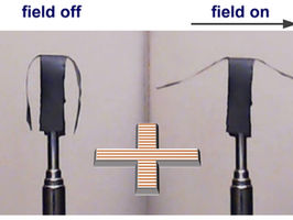 Magnetic nanoparticle chains offer new technique for controlling soft robots