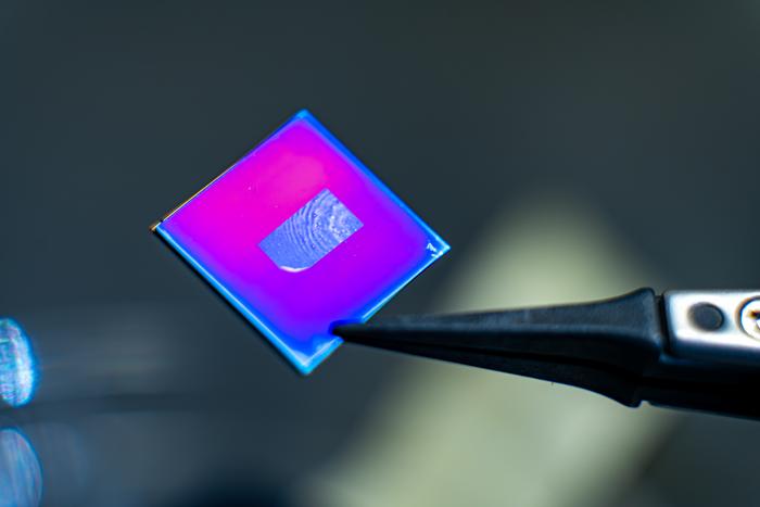 Researchers at Rice University have created large, highly ordered films of chiral carbon nanotubes. @Jorge Vidal/Rice University