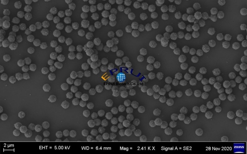 Amino-Functionalized Magnetic Nanoparticles