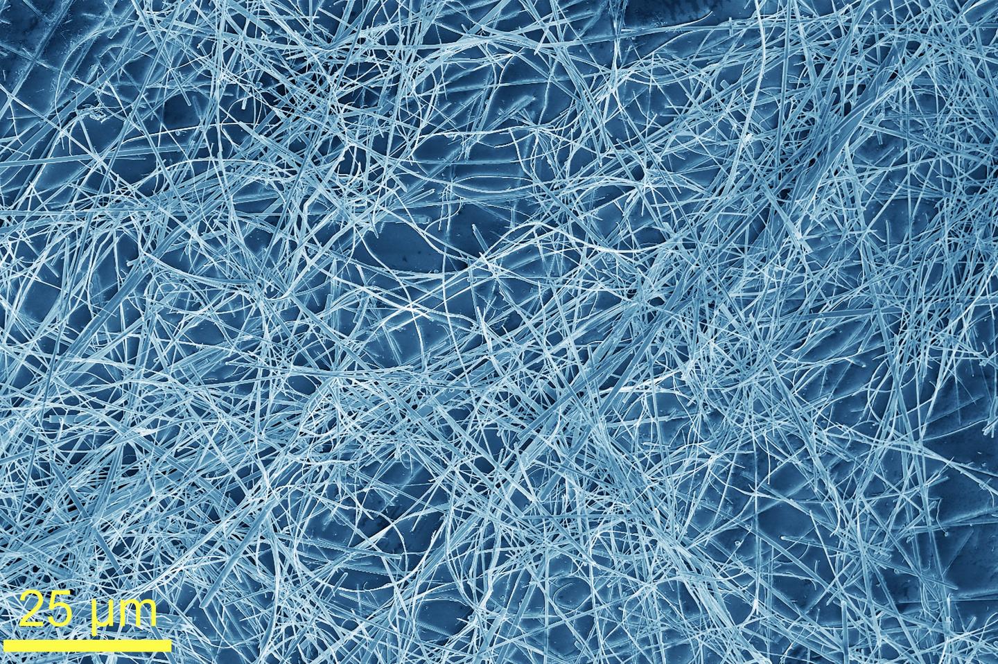 Quasi-1D TaSe3 nanowires @ Zahra Barani/UC Riverside