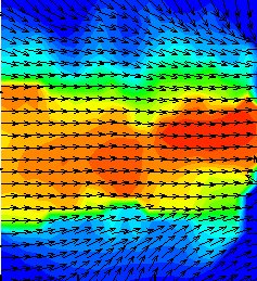 Particle Shadow Velocimetry