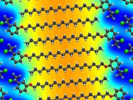 Hybrid heterostructures with programmable potentials
