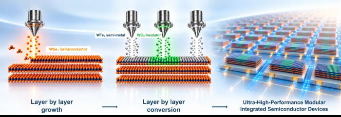 (1) layer-by-layer growth of atomically thin WSe₂, (2) selective layer-by-layer conversion into WTe₂ contacts, WOₓ dielectric, and remained WSe₂ channel regions, and (3) fabrication of high-performance modular integrated devices. Credit: Institute for Basic Science
