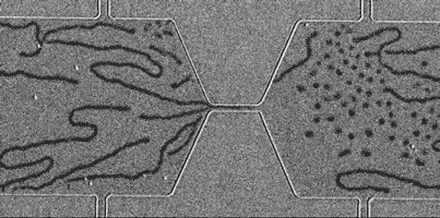 skyrmion-bubbles-1.gif