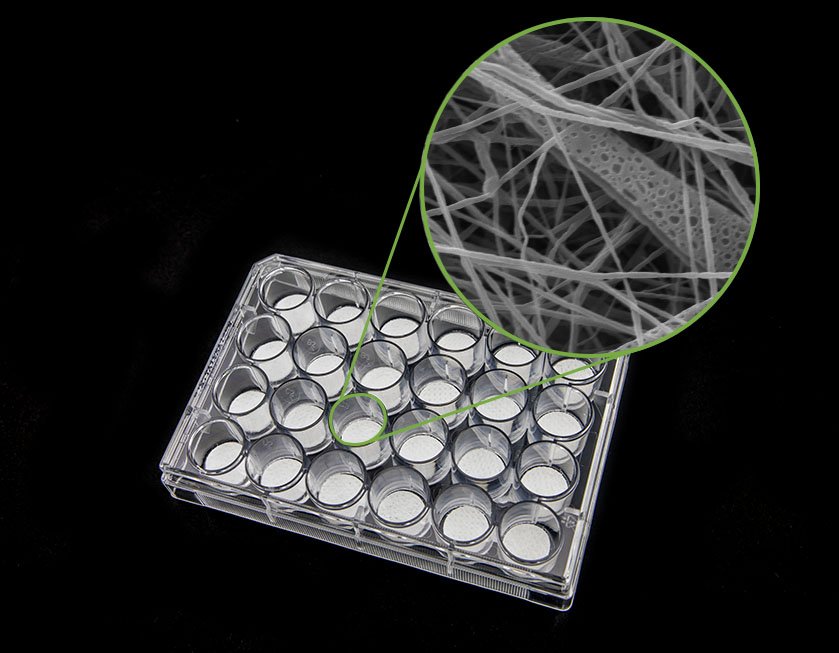 InoMATRIX Microplates - Porous