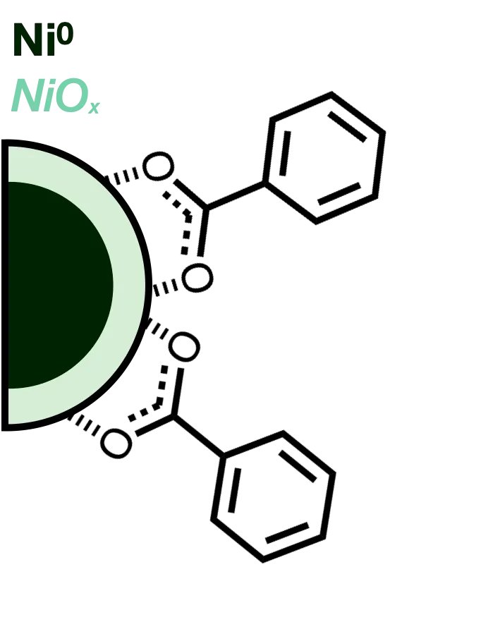 Ni Benzene Functionalized (Benzoic Acid)