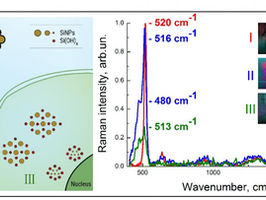 Nanoparticle versus cancer