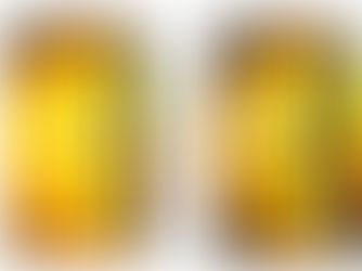 Quantum entanglement of photons doubles microscope resolution