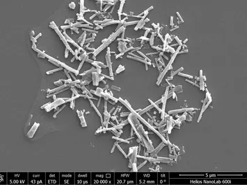They heat, heal and stimulate cells: IIT’s new nanoparticles for nanomedicine