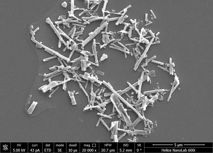 They heat, heal and stimulate cells: IIT’s new nanoparticles for nanomedicine