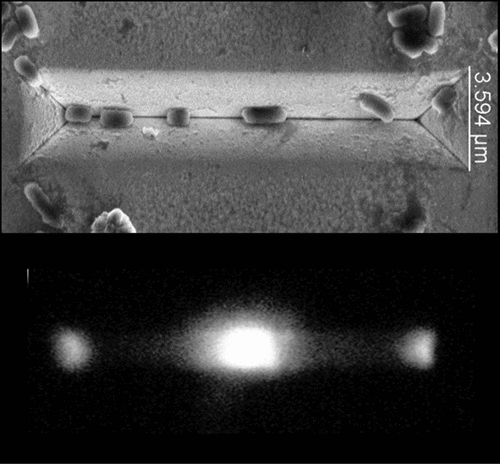 Nano chip system measures light from single bacterial cell to enable chemical detection