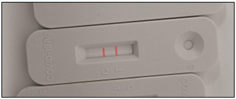 Lateral Flow Assay Gold Nanoparticles