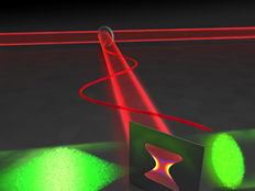 New movies from the microcosmos