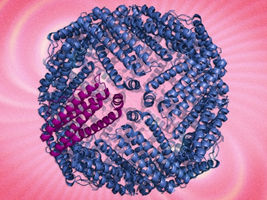 Engineers design magnetic cell sensors