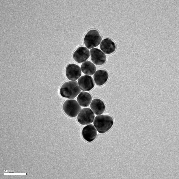 40 nm Gold Nanoparticles