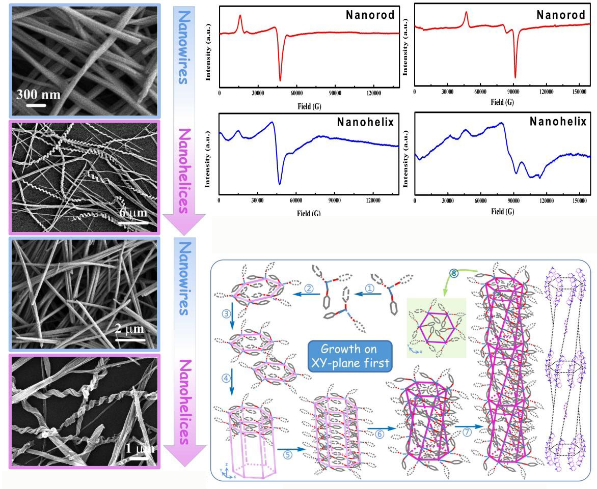 Left: Scanning electron microscopy images of the nanowires and nanohelices. Upper right: electron paramagnetic resonance spectra of the nanorods and nanohelices. Lower right: Theoretical calculations and growth mechanisms of nanohelices. @ WANG Jihao