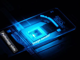 New technique greatly enhances digital microscopy images