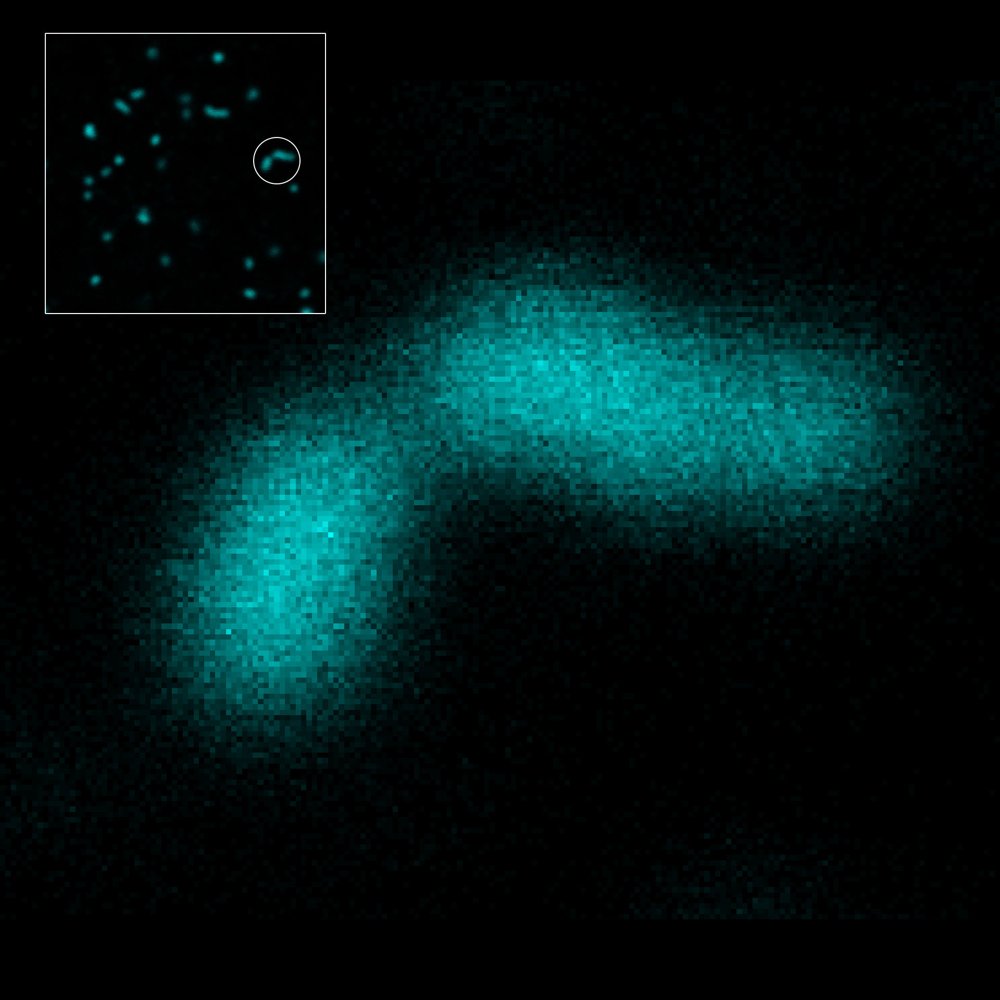 abberior FLUX dyes