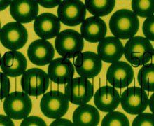 Polystyrene Fluorescent Microspheres