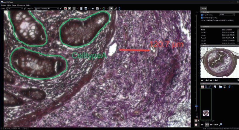 MMI imaging software