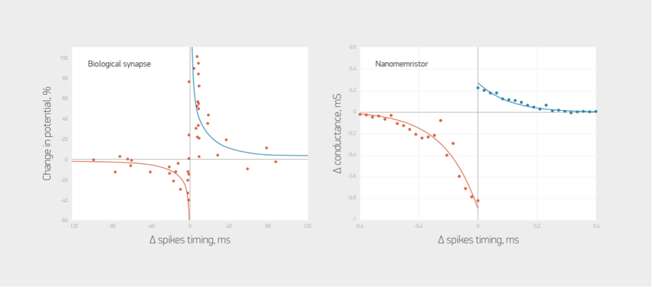 Fig.3. The change in conductivity of memristors depending on the temporal separation between "spikes"(rigth) and thr change in potential of the neuron connections in biological neural networks. Source: MIPT press office