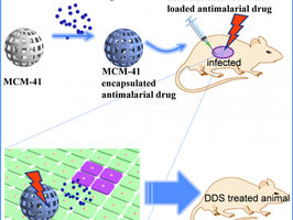 Breakthrough antimalarial drug delivery system using mesoporous silica nanoparticles
