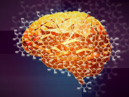 Tracking individual carbon atoms deep into the brain’s neurons