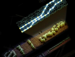 Computer scientists create reprogrammable molecular computing system