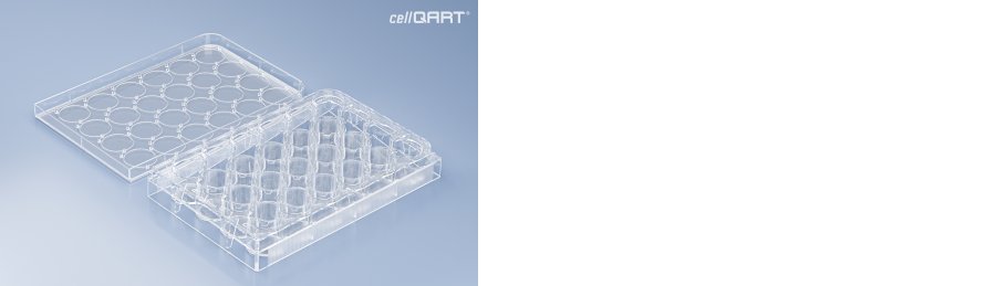 cellQART 24-Well Empty Plate