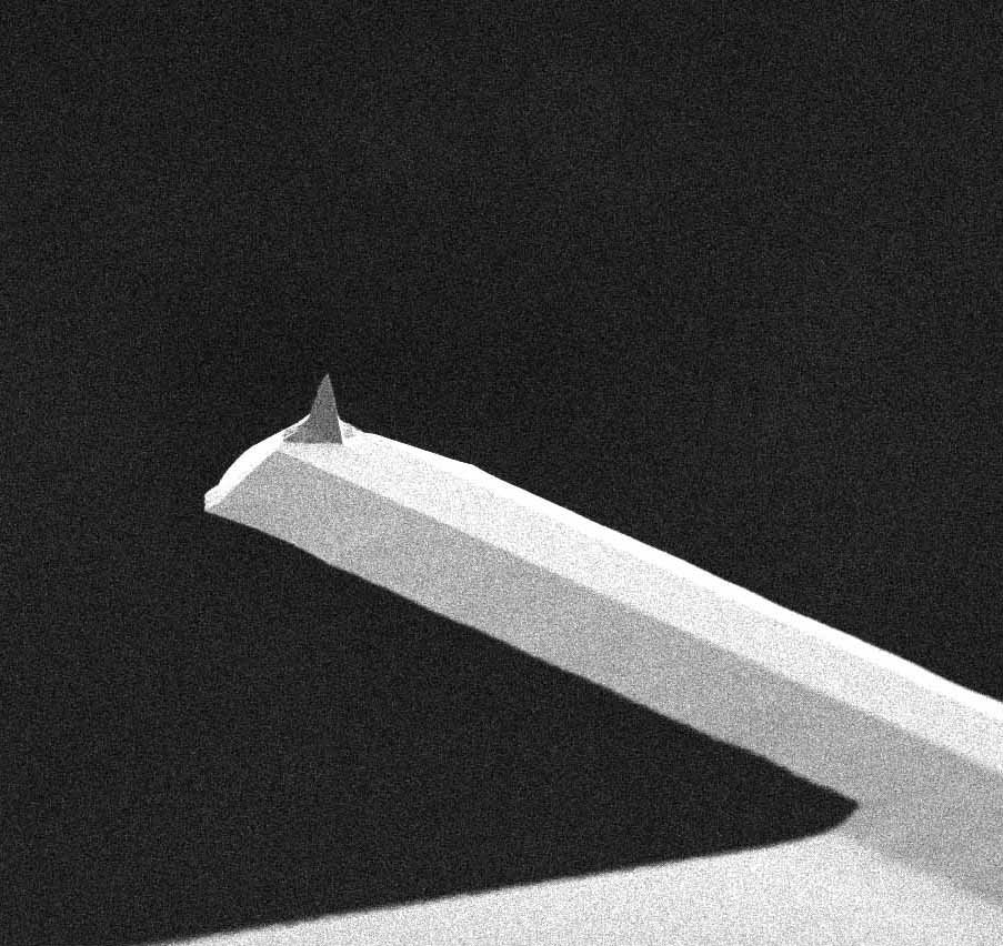 HQ:NSC16/Cr-Au BS Gold Coated Tapping Mode AFM Probe with Long AFM Cantilever