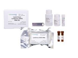 Leprechaun Lentivirus Flex RNA Kit