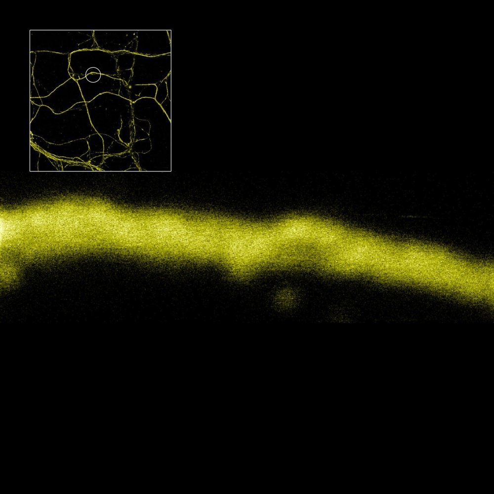 abberior FLUX 660
