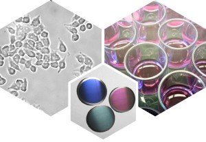 Nanoceramics for Life Science