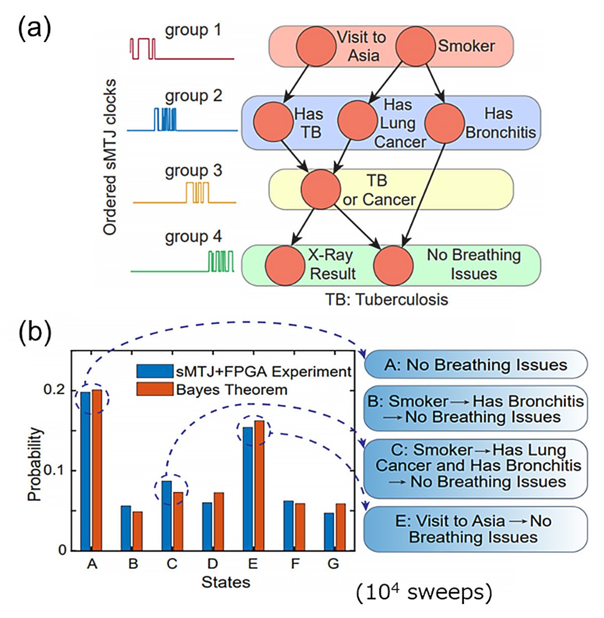 (a) Output signal from the sMTJ-based p-bit enforced to perform Bayesian network. The Asia network, a textbook example of the Bayesian network is tested. (b) Experimental results of the operation. ©Shunsuke Fukami, Kerem Camsari et al.