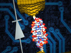 The world's smallest diode is made of a single molecule of DNA