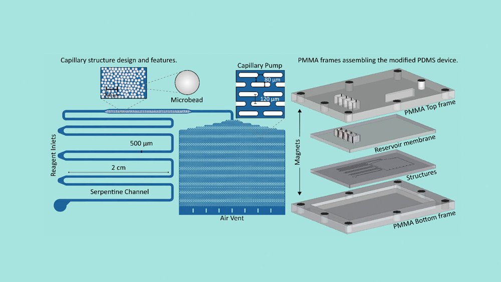 Biochips for agrifood