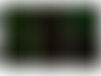 Nanoscale Trojan horses treat inflammation