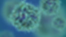 ree
