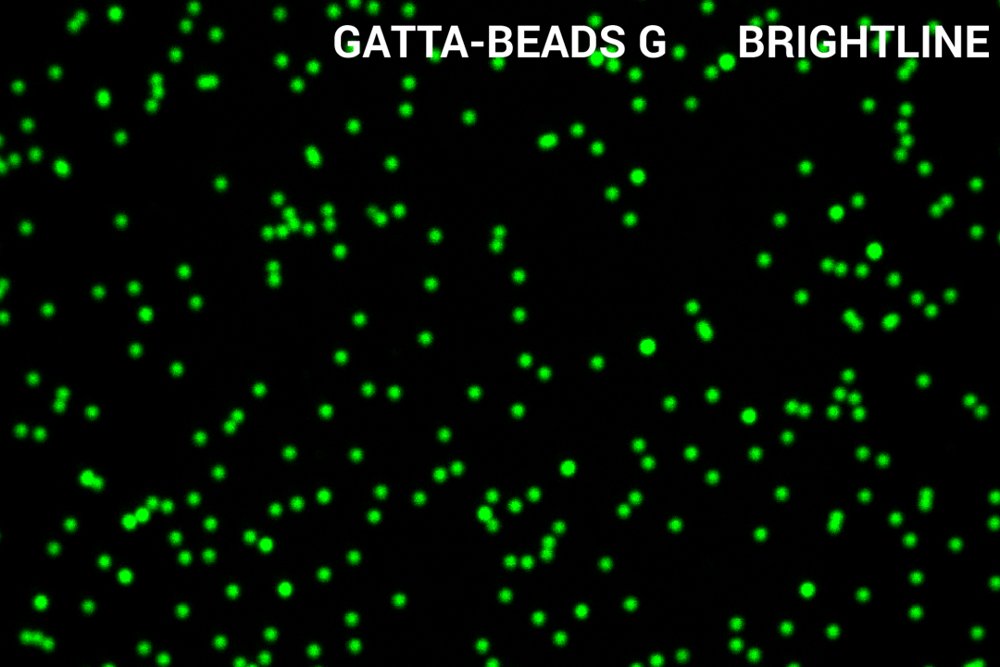 GATTA-Beads - brightline