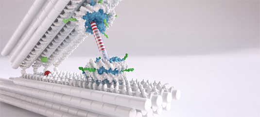 Source: Chris Hohmann (NIM); Dietz Lab (TUM)