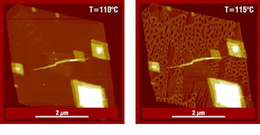 Standard Silicon AFM Probes
