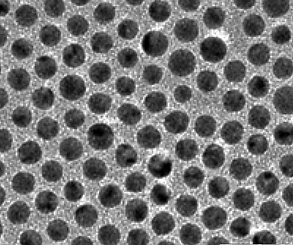 HighQuant Gold Nanoparticles