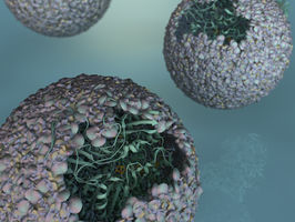 Scientists create 'nano-reactor' for the production of hydrogen biofuel