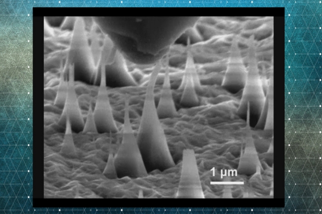 This scanning electron microscope image shows ultrafine diamond needles (cone shapes rising from bottom) being pushed on by a diamond tip (dark shape at top). These images reveal that the diamond needles can bend as much as 9 percent and still return to their original shape. Courtesy of the researchers